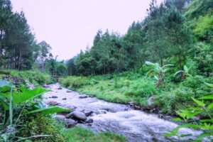 Sungai di Gubugklakah